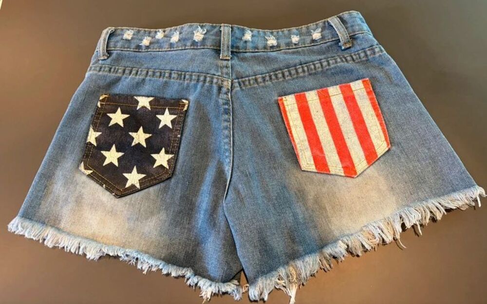 Small Daisy Duke Shorts S (Waist 29 inches)  Thrashed